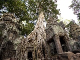 tapety_cywilizacja_taprohm1