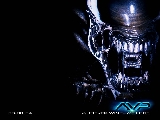 avp_1_1024