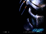 avp_2_1024