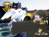 hp_harry_potter02