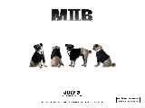 mib2_wallpaper4_a01_800