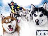 snowdogs02