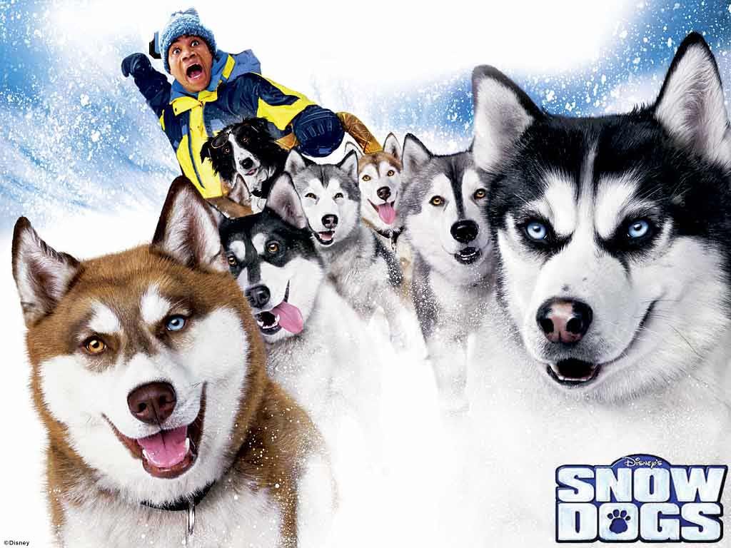 filmitelewizja - filmy - snowdogs02