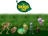 bugs_1024