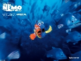 nemo_4_1024