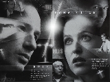 XFiles