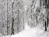 dual_screen_snowpath3840x1200