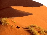 crossing_the_sand_dunes-1920x1200